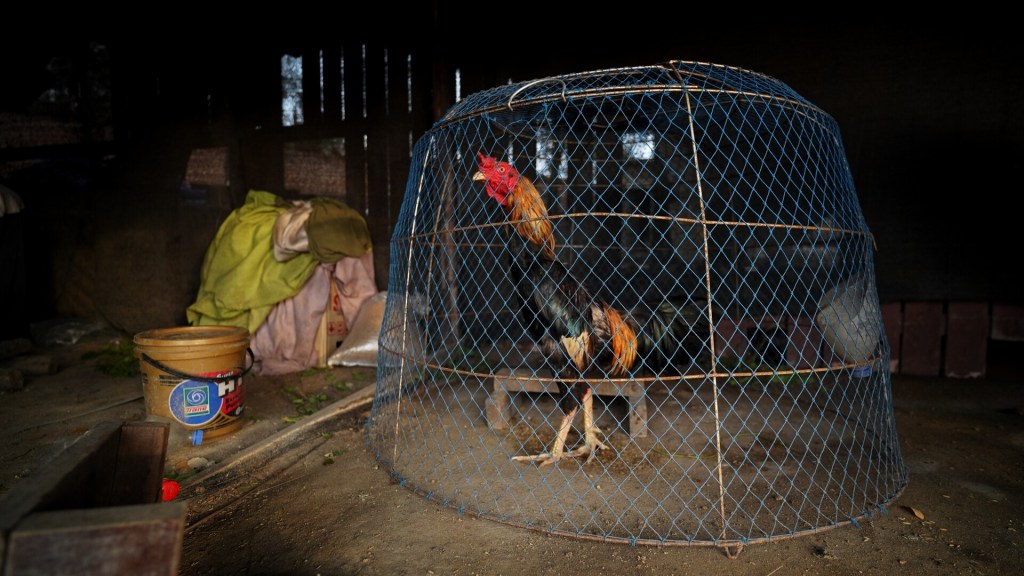 At The Border Of The Ancient City