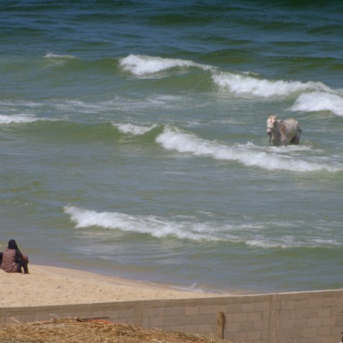 Good Morning Gaza head